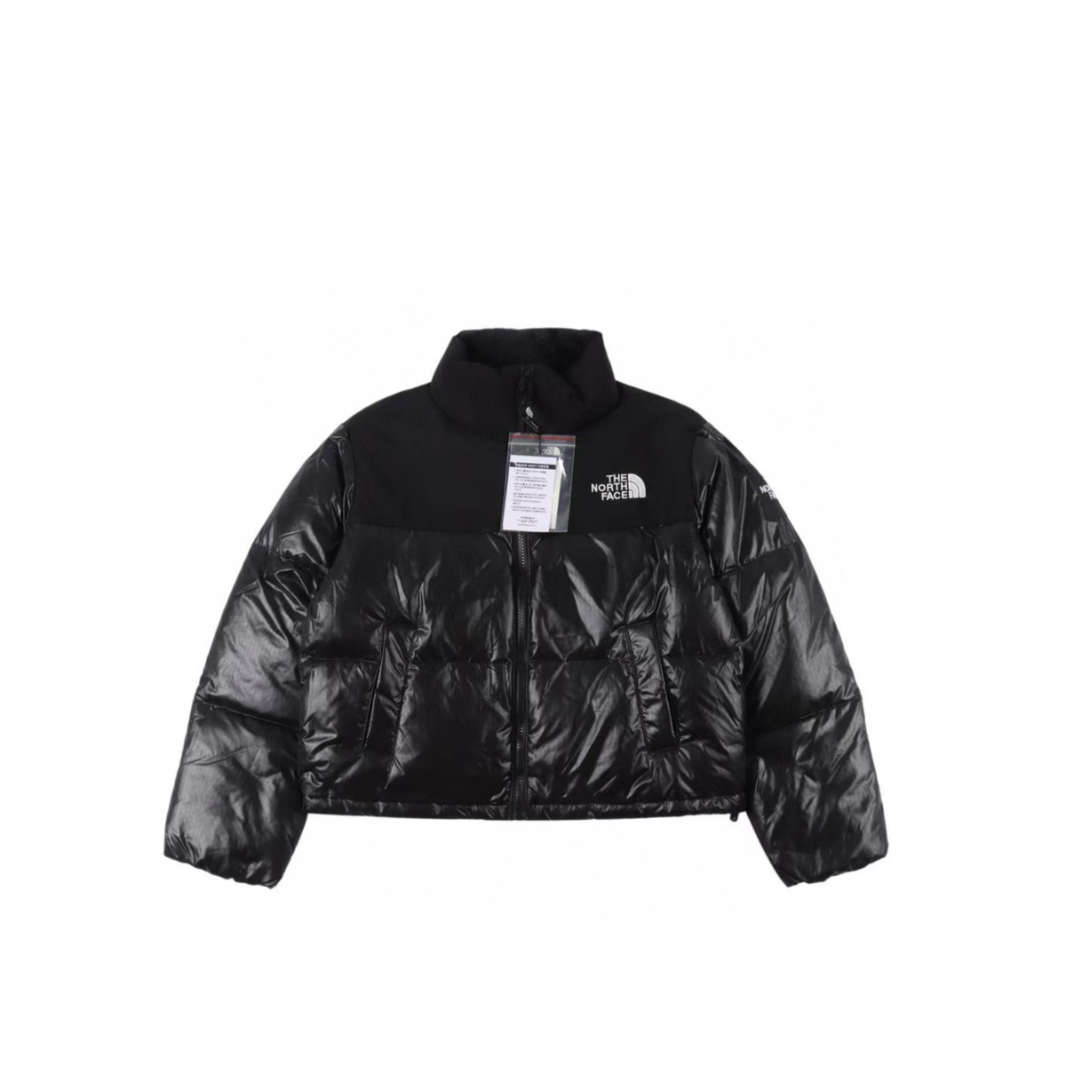 The North Face Retro Puffer Goose Down Jacket "Black"