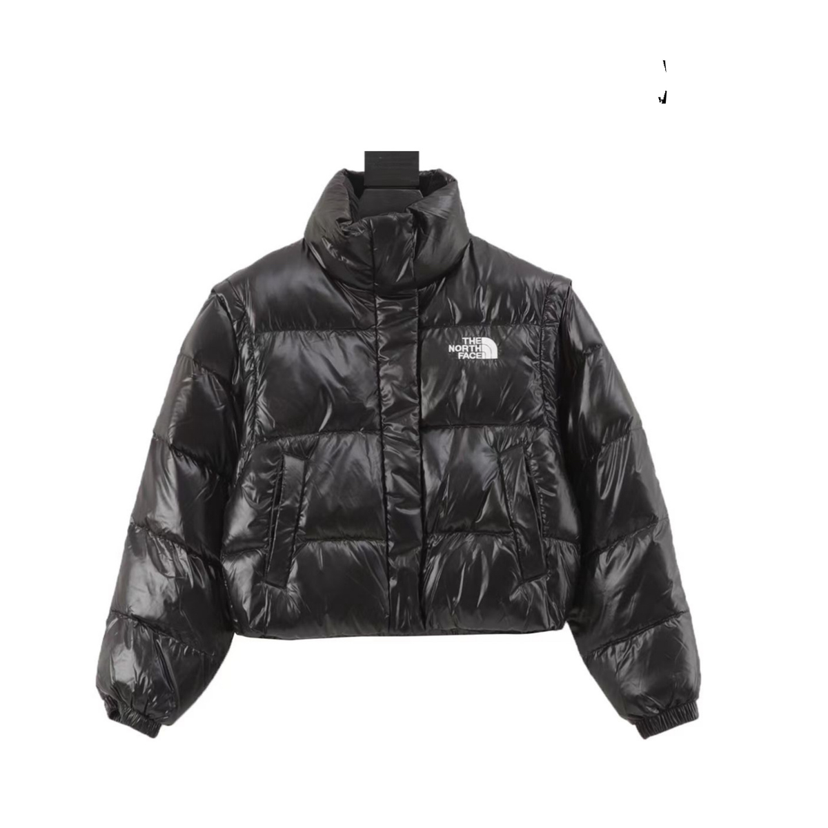 The North Face Retro Puffer Goose Down Jacket "Black"