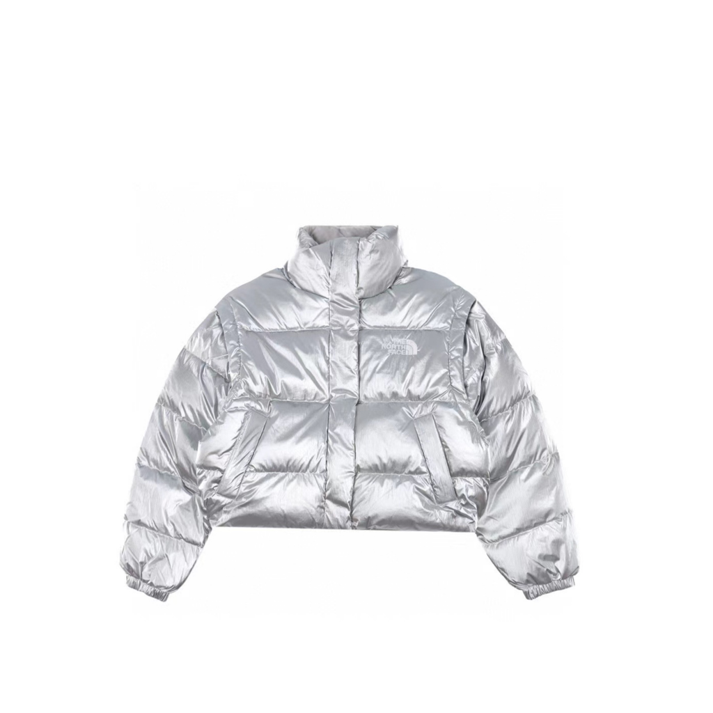 The North Face Retro Puffer Goose Down Jacket "Silver"