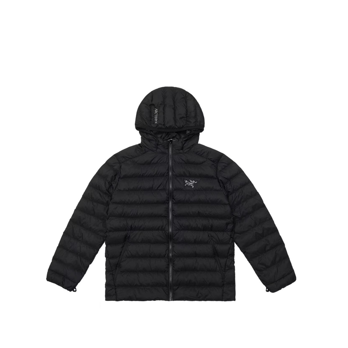 Arc'teryx Cerium Series Men's Hooded Down Jacket "Black"